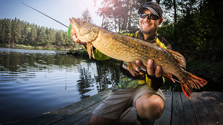 A lot of France, a little fishing