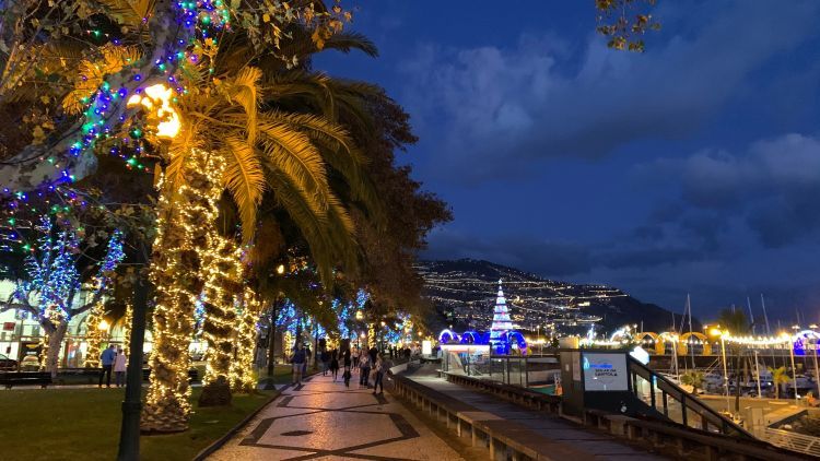 Madeira's Tropical Christmas Market
